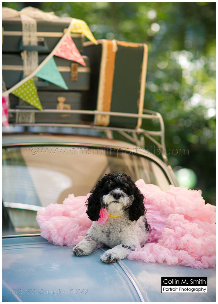 GG_2015Samples_00062FB